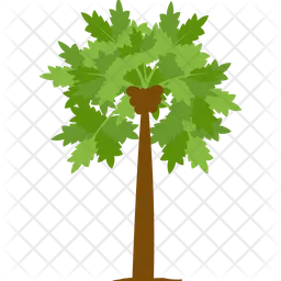 Papaya Tree  Icon