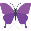 Papilio Ulysses Fly Icon