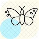 Papillon  Icône