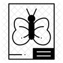  Icône