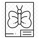  Icône