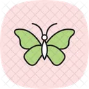 Papillon dans le jardin  Icône