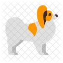Papillon Dog  Icon