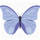 Papillon  Icône