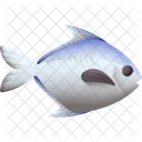 Paplet Fish Fish Food Icon
