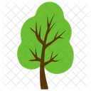 Baum Pappel Pappel Symbol