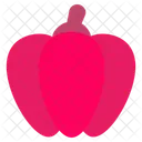 Paprika Food Fruit Icône