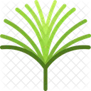 Papyrus Frond Icon