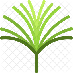 Papyrus Frond  Icon