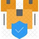 Protección del paquete  Icono