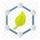 Paraben Free  Icon