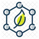 Paraben Free  Icon