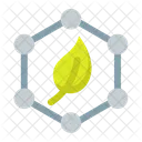 Paraben Free  Icon