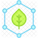 Paraben  Icon