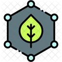 Paraben Dermatology Safe Icon