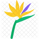 Paradiesvogel  Symbol