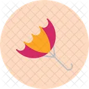 Paraguas  Icono