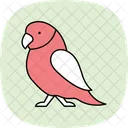 Parakeet Indianringneckparakeet Pet Icon