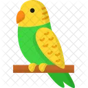 Parakeet  Icon