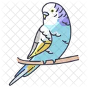 Parakeet Budgerigar Wildlife Icon