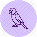 Parakeet Bird Pet Icon