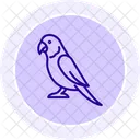 Parakeet Bird Pet Icon