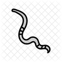Parasite Worm Roundworm Icon