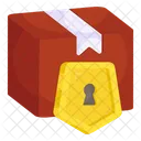 Parcel Security Parcel Protection Package Security Icon