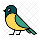 Pardal Passaro Colorido Passaro Ícone