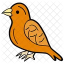 Pardal Passaro Passeridae Ícone