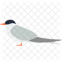 Pardal  Ícone