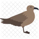 Pardal Animal Selvagem Ícone