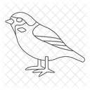 Pardal  Ícone