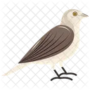 Passeridae Pardal Aviario Ícone