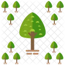 Park Tree Forest Icon