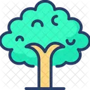 Park Tree Garden Icon