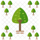 Park Baum Wald Symbol