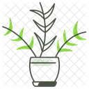 Parlor Palm Houseplant Plant Icon