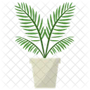 Parlor palm Plant  Icon