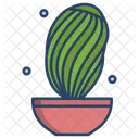 Parodia Cactus Pot Cactus Plant Icon