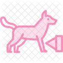 Parque Para Perros Perro Parque Icono
