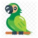 Bird Parrot Pet Bird Icon