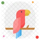 Bird Animal Pet Icon