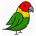 Parrot Bird Pet Icon