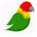 Parrot Bird Pet Icône