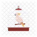Parrot Cockatoo Solitary Icon