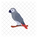 Parrot Jacko Gray Icon