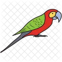 Bird Colorful Bird Parrot Icon