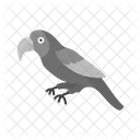 Parrot Animal Wildlife Icon