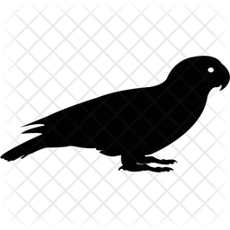 Parrot  Icon